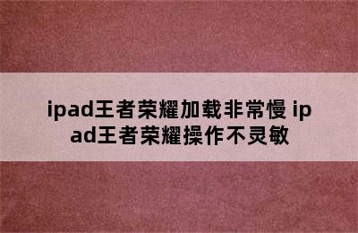 ipad王者荣耀加载非常慢 ipad王者荣耀操作不灵敏